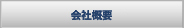 ЊTv